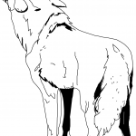 Wyjący kojot na pniu drzewa