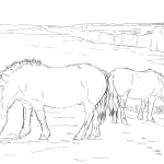 Dwa kucyki pasące się