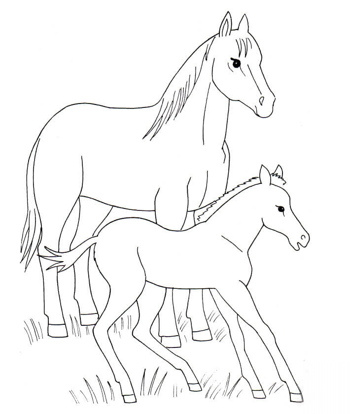 Dorosły koń i źrebię