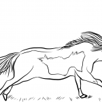 Koń miniaturowy - klacz