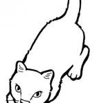 Kotek patrzy w górę