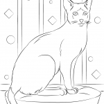 Siedzący kot syjamski