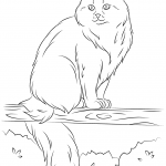 Kot syberyjski siedzący na drzewie