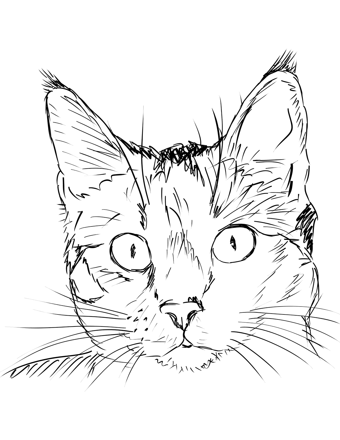 Cat Portrait