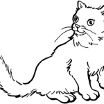 Kotek czeka na jedzenie