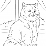 Siedzący kot perski