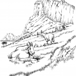 Dwa kozły śnieżne