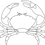 Krab stojący tyłem