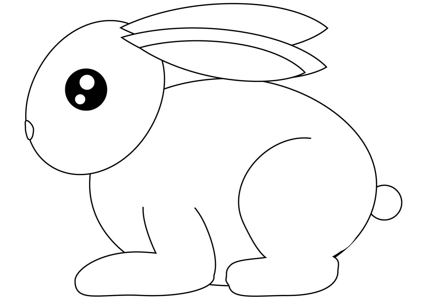 Small Rabbit