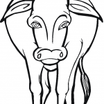 Krowa - dorosła samica bydła domowego