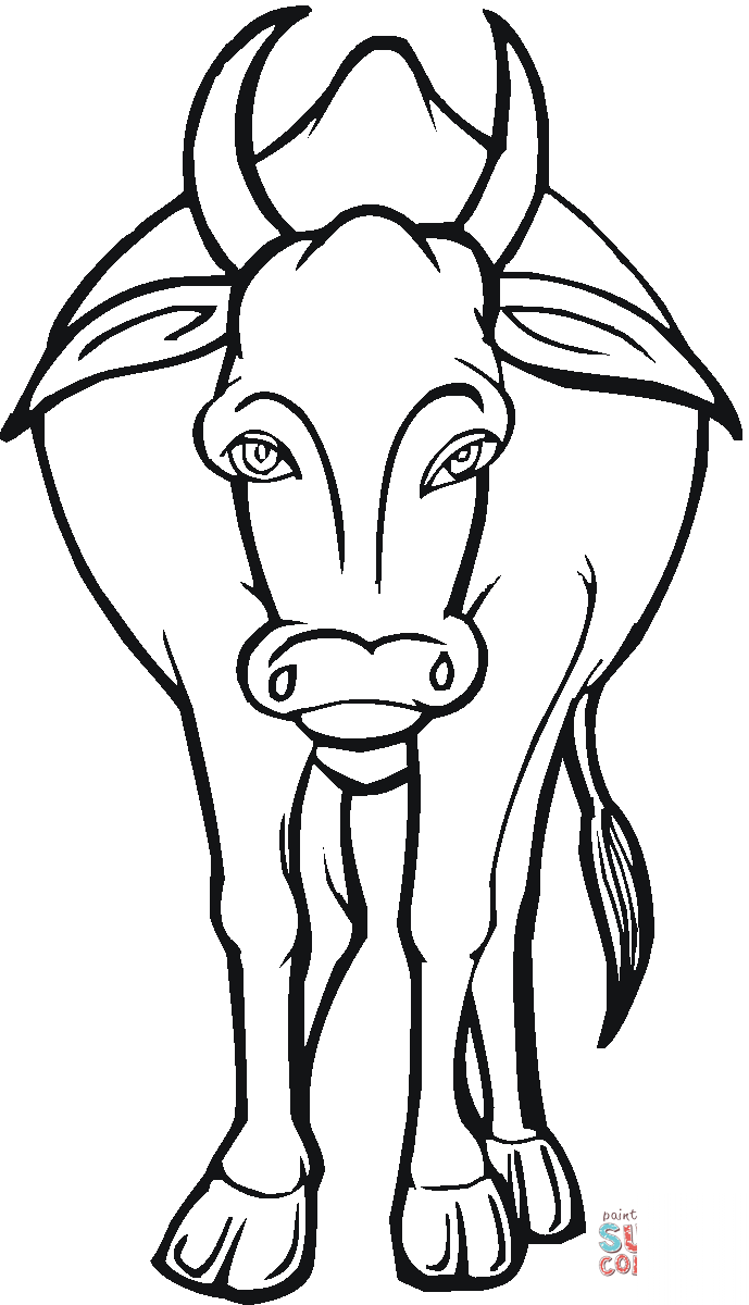 Krowa - dorosła samica bydła domowego