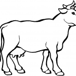 Krowa - zwierzę z rodziny Bovidae