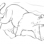 Spacerujący lew górski