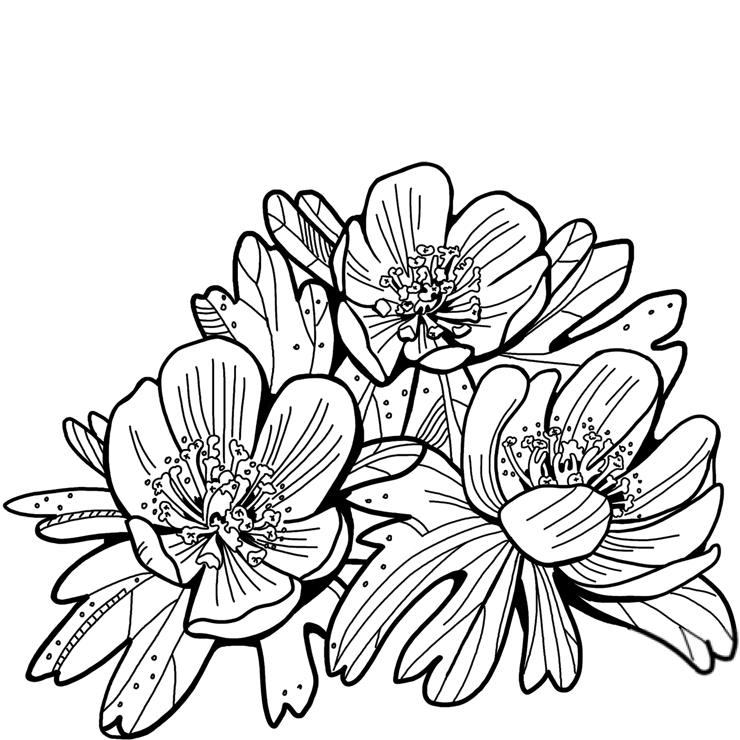kolorowanka Kwiaty