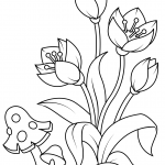 Forest Flowers and Fly Agaric