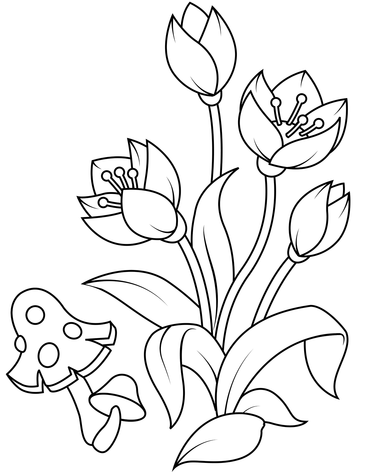 Forest Flowers and Fly Agaric