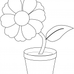 Flower in a Pot