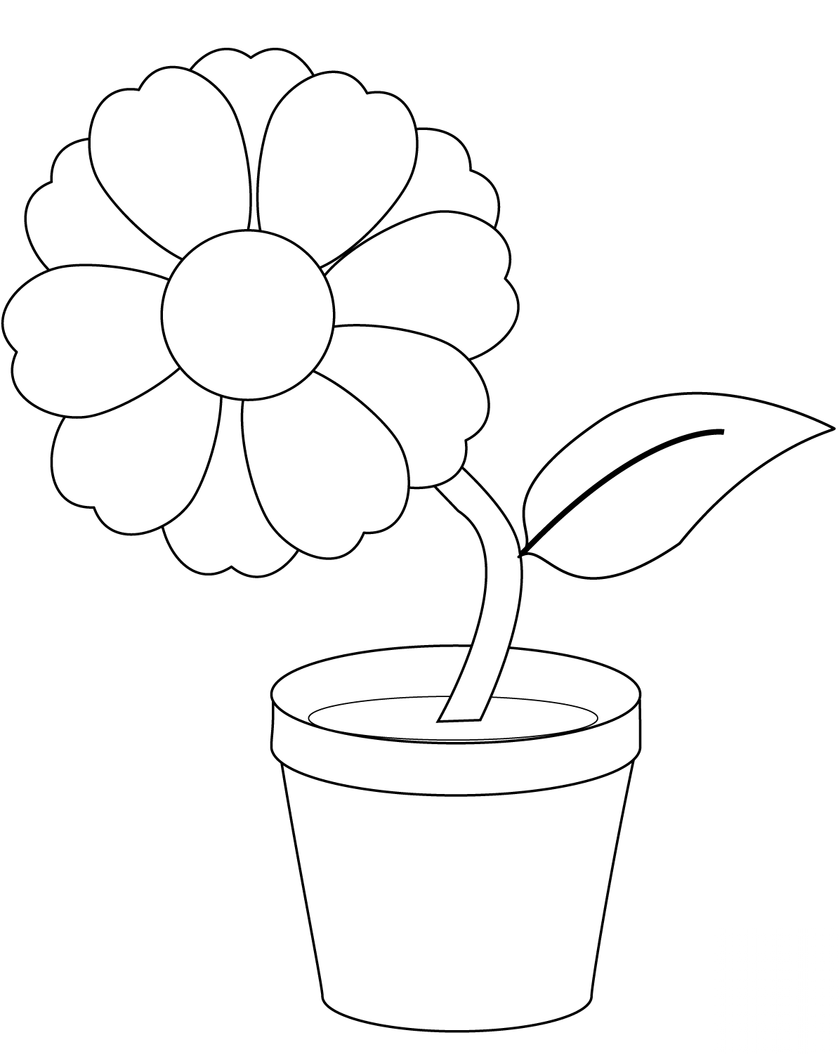 Flower in a Pot