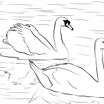 Ślizganie na wodzie