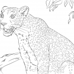 Prześliczny lampart