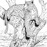 Leopard siedzi na drzewie