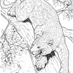 Lampart ryczy na drzewie