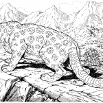 Lampart ryczący na wzgórzu