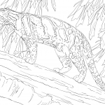 Pantera mglista stojąca na drzewie