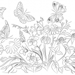 Butterflies and Flowers