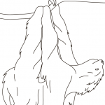 Sloth Hanging on Branch