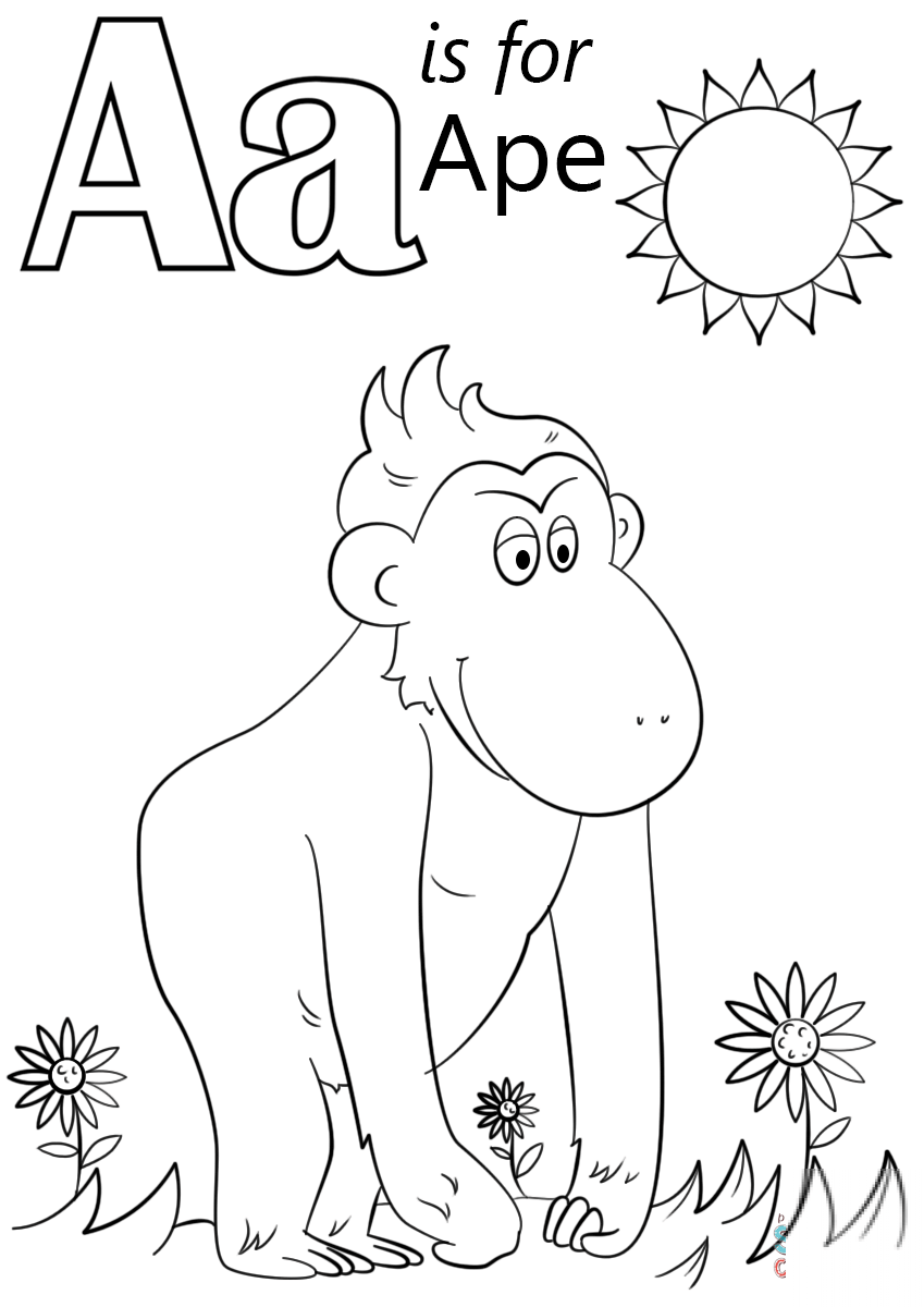 Letter A is for Ape