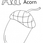 Letter A is for Acorn