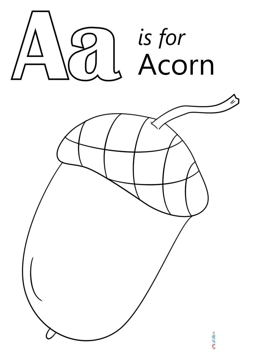 Letter A is for Acorn