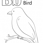 Letter B is for Bird