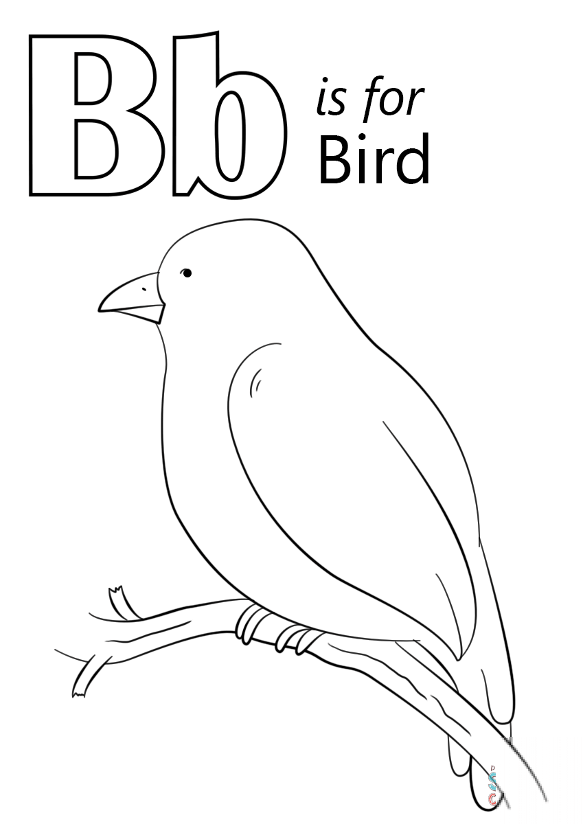 Letter B is for Bird