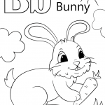 Letter B is for Bunny