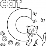 C is for Cat