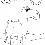 Letter C is for Camel