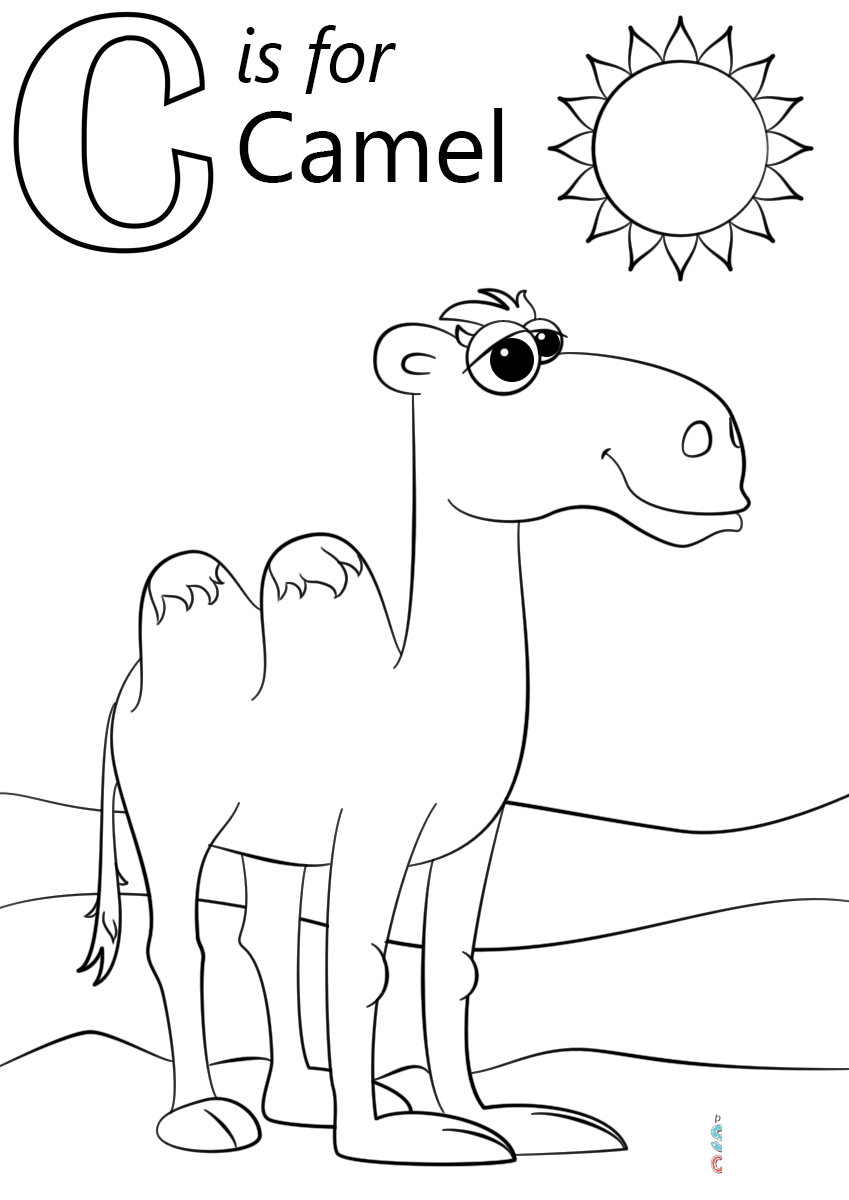 Letter C is for Camel