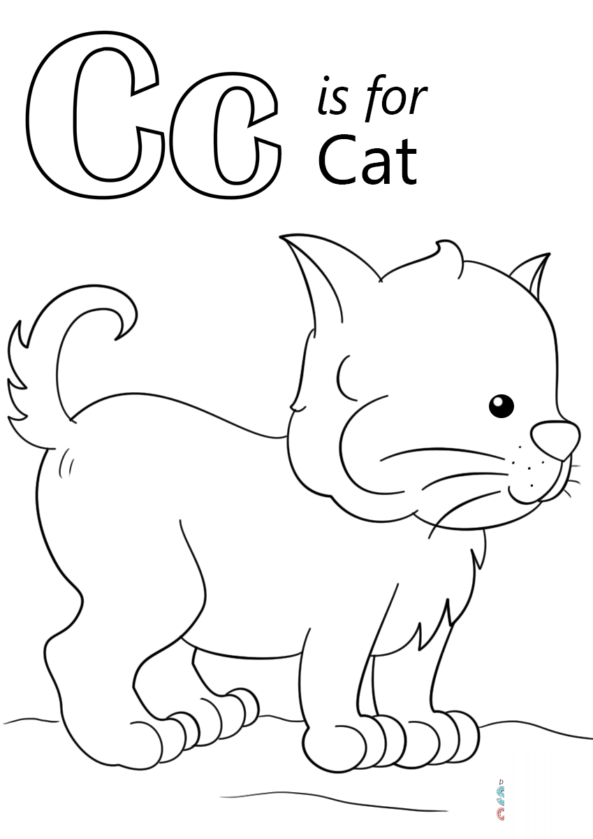 Letter C is for Cat