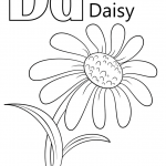 Letter D is for Daisy