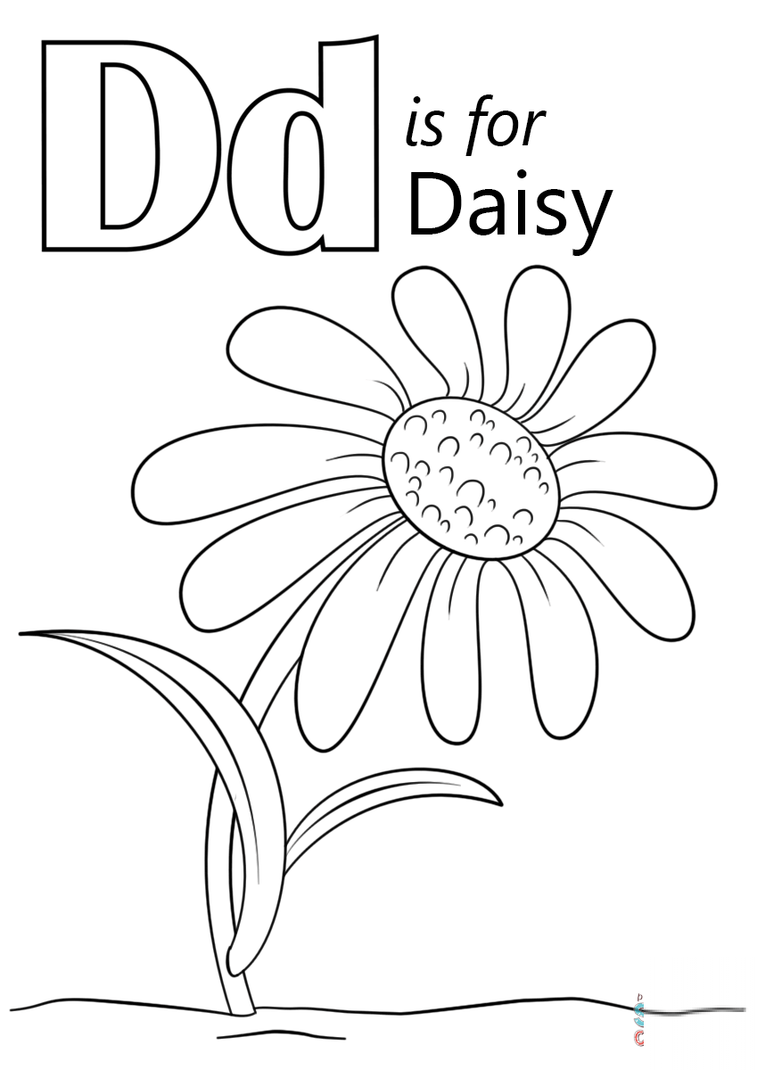 Letter D is for Daisy