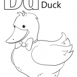 Letter D is for Duck