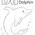 Letter D is for Dolphin