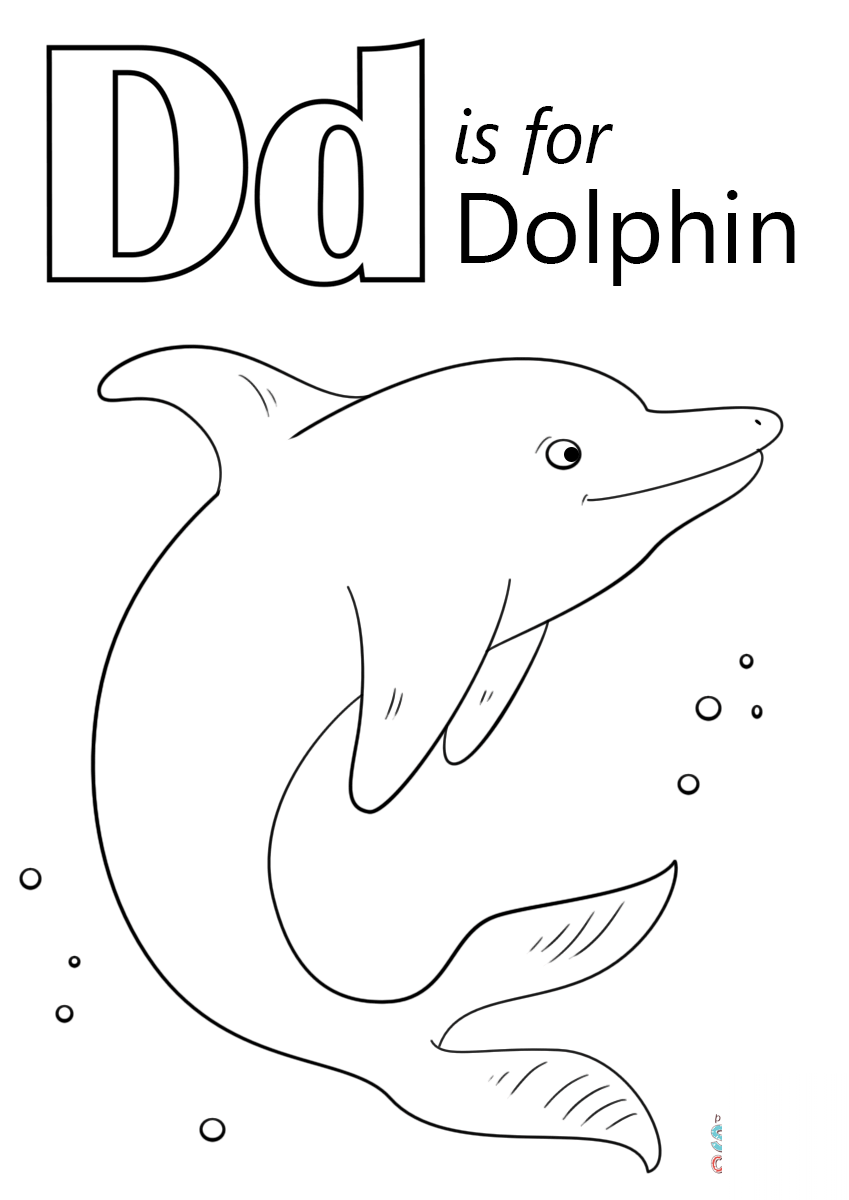 Letter D is for Dolphin