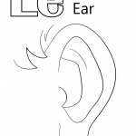 Letter E is for Ear