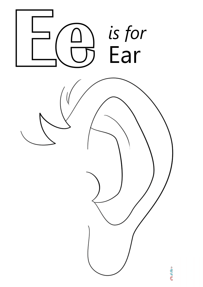 Letter E is for Ear