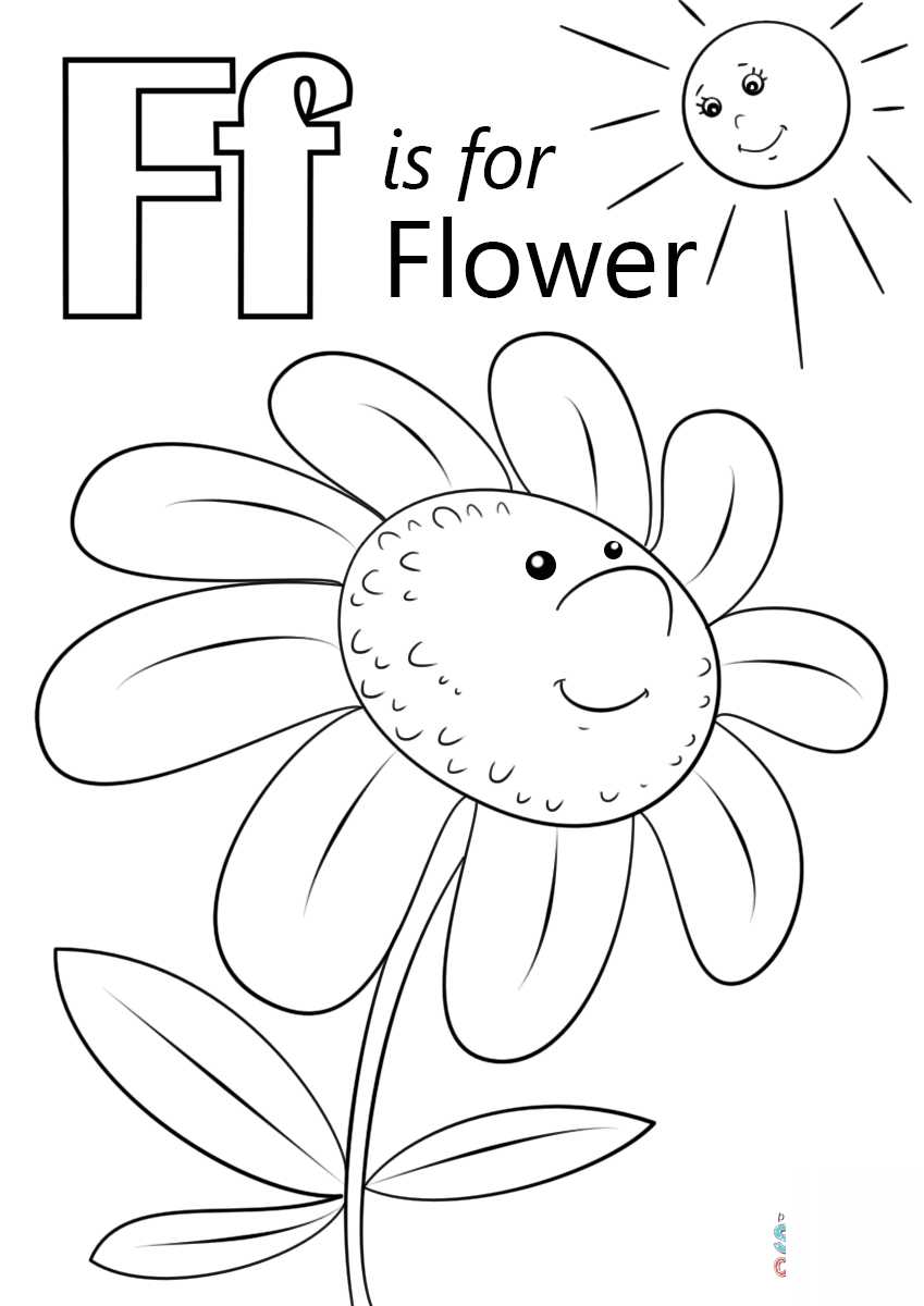 Letter F is for Flower