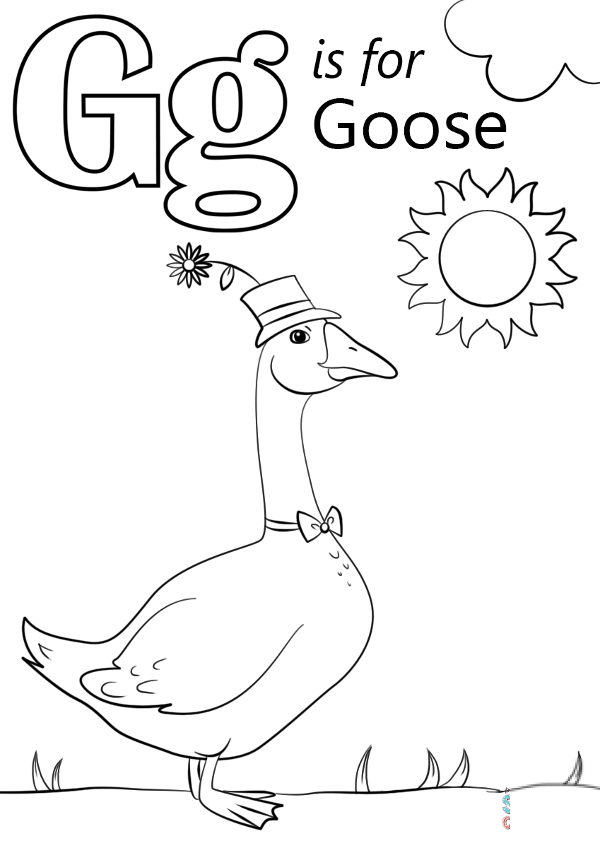 Letter G is for Goose
