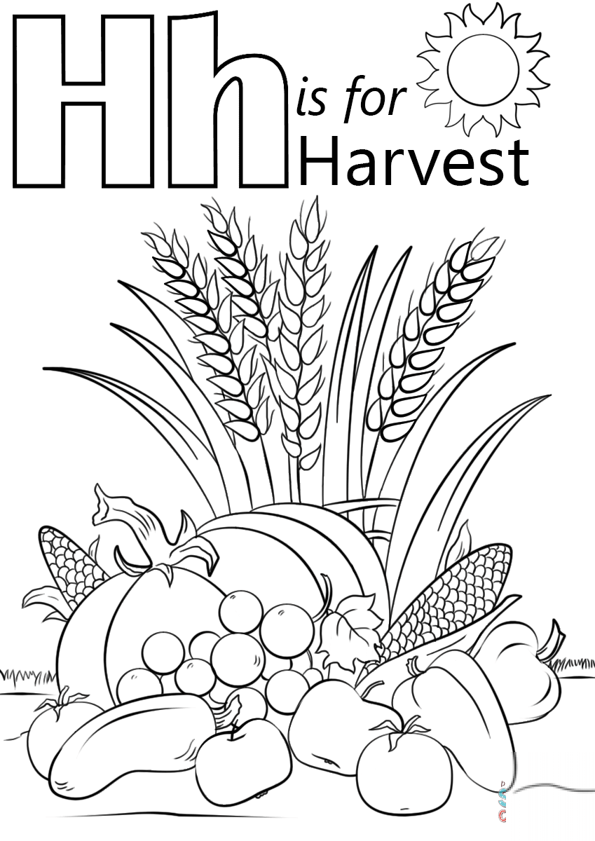 Letter H is for Harvest